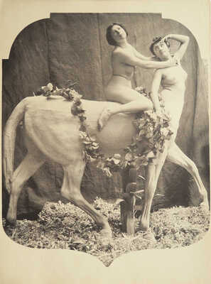 [Ню Эстетик. Мужчина, женщина, ребенок. Альбом художественных документов по натуре человека].